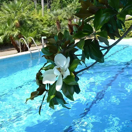 Villa Aurora *