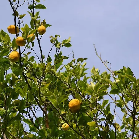 Aurora ヴィラ ヴィーコ・エクエンセ